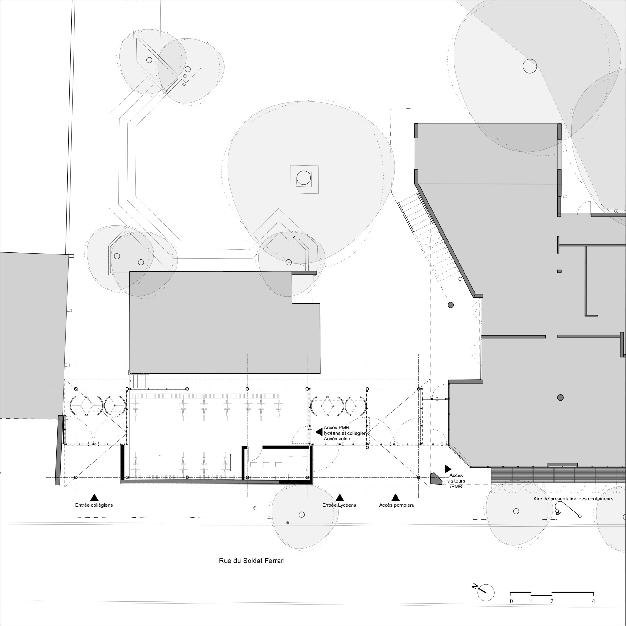 03-PRO PLAN